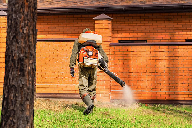 Bed Bug Clearance Verification and Documentation in Pelican Bay